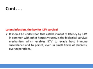 Cont. …
Latent infection, the key for ILTV survival
 It should be understood that establishment of latency by ILTV,
in common with other herpes viruses, is the biological survival
mechanism which enables ILTV to evade host immune
surveillance and to persist, even in small flocks of chickens,
over generations.
 