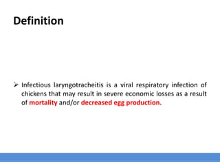 Definition
 Infectious laryngotracheitis is a viral respiratory infection of
chickens that may result in severe economic losses as a result
of mortality and/or decreased egg production.
 