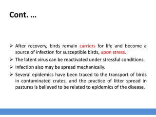 Cont. …
 After recovery, birds remain carriers for life and become a
source of infection for susceptible birds, upon stress.
 The latent virus can be reactivated under stressful conditions.
 Infection also may be spread mechanically.
 Several epidemics have been traced to the transport of birds
in contaminated crates, and the practice of litter spread in
pastures is believed to be related to epidemics of the disease.
 