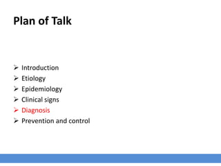 Plan of Talk
 Introduction
 Etiology
 Epidemiology
 Clinical signs
 Diagnosis
 Prevention and control
 