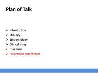 Plan of Talk
 Introduction
 Etiology
 Epidemiology
 Clinical signs
 Diagnosis
 Prevention and control
 