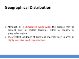 Geographical Distribution
 Although ILT is distributed world-wide, the disease may be
present only in certain localities within a country or
geographic region.
 The greatest incidence of disease is generally seen in areas of
highly intensive poultry production.
 