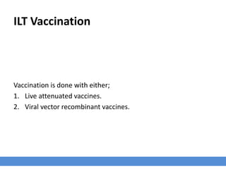 ILT Vaccination
Vaccination is done with either;
1. Live attenuated vaccines.
2. Viral vector recombinant vaccines.
 
