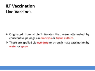 ILT Vaccination
Live Vaccines
 Originated from virulent isolates that were attenuated by
consecutive passages in embryos or tissue culture.
 These are applied via eye drop or through mass vaccination by
water or spray.
 