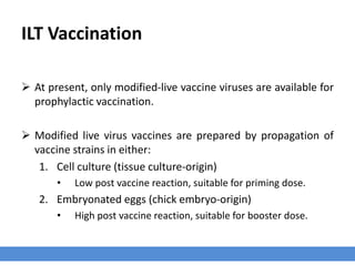 ILT Vaccination
 At present, only modified-live vaccine viruses are available for
prophylactic vaccination.
 Modified live virus vaccines are prepared by propagation of
vaccine strains in either:
1. Cell culture (tissue culture-origin)
• Low post vaccine reaction, suitable for priming dose.
2. Embryonated eggs (chick embryo-origin)
• High post vaccine reaction, suitable for booster dose.
 
