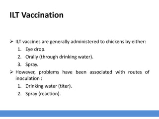 ILT Vaccination
 ILT vaccines are generally administered to chickens by either:
1. Eye drop.
2. Orally (through drinking water).
3. Spray.
 However, problems have been associated with routes of
inoculation :
1. Drinking water (titer).
2. Spray (reaction).
 