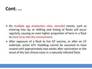 Cont. …
 On multiple age production sites, stressful events, such as
entering into lay, or shifting and mixing of flocks will occur
regularly, causing an even higher proportion of hens in a flock
to shed virus into the environment.
 After exposure of a flock to live ILT vaccine, or after an ILT
outbreak, active ILTV shedding cannot be assumed to have
ceased until approximately two weeks after vaccination or the
onset of the last clinical cases in a naturally infected flock.
 