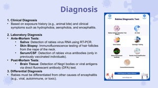 Nape Testing Rabies disease infectious diseases .pptx