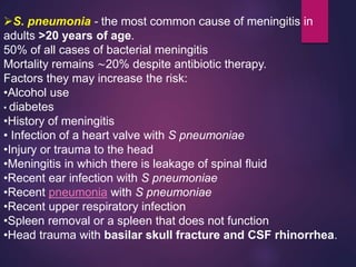 S. pneumonia - the most common cause of meningitis in
adults >20 years of age.
50% of all cases of bacterial meningitis
Mortality remains ∼20% despite antibiotic therapy.
Factors they may increase the risk:
•Alcohol use
• diabetes
•History of meningitis
• Infection of a heart valve with S pneumoniae
•Injury or trauma to the head
•Meningitis in which there is leakage of spinal fluid
•Recent ear infection with S pneumoniae
•Recent pneumonia with S pneumoniae
•Recent upper respiratory infection
•Spleen removal or a spleen that does not function
•Head trauma with basilar skull fracture and CSF rhinorrhea.
 