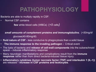 PATHOPHYSIOLOGY
Bacteria are able to multiply rapidly in CSF:
• Normal CSF contains
few white blood cells (WBCs) (<5 cells)
small amounts of complement proteins and immunoglobulins. (<50mg/dl
glucose(40-80mg/dl)
• fluid nature of CSF - less conducive to phagocytosis than a solid tissue
• The immune response to the invading pathogen - Critical event
• The lysis of bacteria and release of cell-wall components into the subarachnoid
space – induces inflammatory response
• Many neurologic manifestations and complications result from the immune
response rather than from direct bacteria-induced tissue injury.
• Inflammatory cytokines (tumor necrosis factor (TNF) and interleukin 1 (IL-1))
are released - increase in CSF proteins and leukocytes.
 