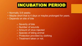 INCUBATION PERIOD
• Normally 3-8 weeks
• Maybe short that is 4 days or maybe prolonged for years.
• Depends on site of bite
o Severity of bite
o Number of wounds
o Amount of virus injected
o Species of biting animal
o Protection provided by clothing
o Treatment taken or not.
 