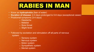 RABIES IN MAN
• Know as hydrophobia (fear of water)
• Duration of disease: 2-3 days prolonged to 5-6 days (exceptional cases)
• Prodromal symptoms (3-4 days)
o Headache
o Malaise
o Sore throat
o Slight fever
• Followed by excitation and stimulation off all parts of nervous
system
o Sensory system
o Nervous system
o Motor system
o Sympathetic system
o Mental system
 