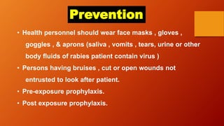 Prevention
• Health personnel should wear face masks , gloves ,
goggles , & aprons (saliva , vomits , tears, urine or other
body fluids of rabies patient contain virus )
• Persons having bruises , cut or open wounds not
entrusted to look after patient.
• Pre-exposure prophylaxis.
• Post exposure prophylaxis.
 
