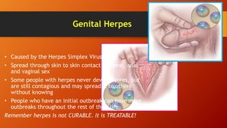 Genital Herpes
• Caused by the Herpes Simplex Virus (HSV)
• Spread through skin to skin contact and oral, anal
and vaginal sex
• Some people with herpes never develop sores, but
are still contagious and may spread it to others
without knowing
• People who have an initial outbreak can have more
outbreaks throughout the rest of their life
Remember herpes is not CURABLE. It is TREATABLE!
 