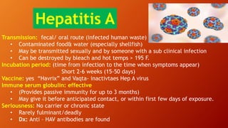 Transmission: fecal/ oral route (infected human waste)
• Contaminated food& water (especially shellfish)
• May be transmitted sexually and by someone with a sub clinical infection
• Can be destroyed by bleach and hot temps > 195 F.
Incubation period: (time from infection to the time when symptoms appear)
Short 2-6 weeks (15-50 days)
Vaccine: yes “Havrix” and Vaqta- inactivtaes Hep A virus
Immune serum globulin: effective
• (Provides passive immunity for up to 3 months)
• May give it before anticipated contact, or within first few days of exposure.
Seriousness: No carrier or chronic state
• Rarely fulminant/deadly
• Dx: Anti – HAV antibodies are found
Hepatitis A
 