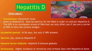 “Delta Agent”
• Transmission: Parenteral route
• Same as Hepatitis B. Must be positive for the HbsA in order to contract Hepatitis D.
The HDV is an incomplete strand of RNA that can only affect you if you are a carrier
of HBV or have the surface antigen.
Incubation period: 14-56 days, but only if HBV present.
Vaccine: yes, same as Hepatitis B
Immune Serum Globulin: Hepatitis B immune globulin
Seriousness: Higher incidence of chronicity and cirrhosis than with Hepatitis B alone.
Hepatitis D
 