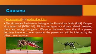 Causes:
• Aedes aegypti and Aedes albopictus
• The viruses are flavi viruses belong to the Flaviviridae family (RNA). Dengue
virus types 1-4 (DENV 1-4). All four serotypes are closely related. However,
there are enough antigenic differences between them that if a person
becomes immune to one serotype, the person can still be infected by the
other three serotypes.
 