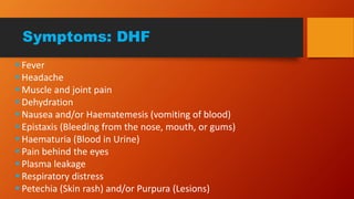 Symptoms: DHF
 Fever
 Headache
 Muscle and joint pain
 Dehydration
 Nausea and/or Haematemesis (vomiting of blood)
 Epistaxis (Bleeding from the nose, mouth, or gums)
 Haematuria (Blood in Urine)
 Pain behind the eyes
 Plasma leakage
 Respiratory distress
 Petechia (Skin rash) and/or Purpura (Lesions)
 