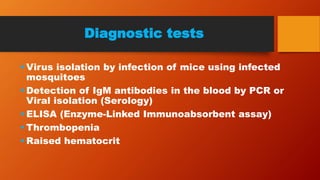 Diagnostic tests
 Virus isolation by infection of mice using infected
mosquitoes
 Detection of IgM antibodies in the blood by PCR or
Viral isolation (Serology)
 ELISA (Enzyme-Linked Immunoabsorbent assay)
 Thrombopenia
 Raised hematocrit
 