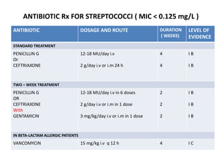 ANTIBIOTIC Rx FOR STREPTOCOCCI ( MIC < 0.125 mg/L )
ANTIBIOTIC DOSAGE AND ROUTE DURATION
( WEEKS)
LEVEL OF
EVIDENCE
STANDARD TREATMENT
PENICILLIN G
Or
CEFTRIAXONE
12-18 MU/day i.v
2 g/day i.v or i.m 24 h
4
4
I B
I B
TWO – WEEK TREATMENT
PENICILLIN G
OR
CEFTRIAXONE
With
GENTAMICIN
12-18 MU/day i.v in 6 doses
2 g/day i.v or i.m in 1 dose
3 mg/kg/day i.v or i.m in 1 dose
2
2
2
I B
I B
I B
IN BETA-LACTAM ALLERGIC PATIENTS
VANCOMYCIN 15 mg/kg i.v q 12 h 4 I C
 