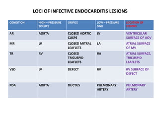 LOCI OF INFECTIVE ENDOCARDITIS LESIONS
CONDITION HIGH – PRESSURE
SOURCE
ORIFICE LOW – PRESSURE
SINK
LOCATION OF
LESIONS
AR AORTA CLOSED AORTIC
CUSPS
LV VENTRICULAR
SURFACE OF AOV
MR LV CLOSED MITRAL
LEAFLETS
LA ATRIAL SURFACE
OF MV
TR RV CLOSED
TRICUSPID
LEAFLETS
RA ATRIAL SURFACE,
TRICUSPID
LEAFLETS
VSD LV DEFECT RV RV SURFACE OF
DEFECT
PDA AORTA DUCTUS PULMONARY
ARTERY
PULMONARY
ARTERY
 