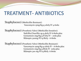 TREATMENT- ANTIBIOTICS
Staphylococci (Methicillin Resistant):
Vancomycin 15mg/Kg q 12hrly IV 4-6wks
Staphylococci (Prosthetic Valve) (Methicillin Sensitive):
Nafcillin/Oxacillin 2g q 4hrly IV 6-8wks plus
Gentamicin 1mg/Kg q 8 hrly IV – 2wks plus
Rifampin 300mg PO q 8hrly - 6-8wks
Staphylococci (Prosthetic Valve) (Methicillin Resistant):
Vancomycin 15mg/Kg q 12hrly IV – 6-8wks plus
Gentamicin 1mg/Kg q 8hrly IV 2wks plus
Rifampin 300 mg PO q 8hrly 6-8wks
 