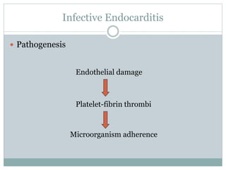 Infective Endocarditis
 Pathogenesis
Endothelial damage
Platelet-fibrin thrombi
Microorganism adherence
 