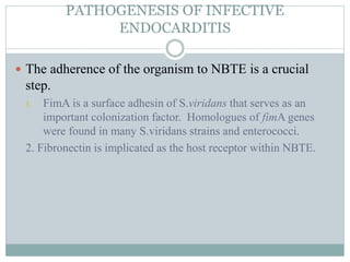 PATHOGENESIS OF INFECTIVE
ENDOCARDITIS
 The adherence of the organism to NBTE is a crucial
step.
1. FimA is a surface adhesin of S.viridans that serves as an
important colonization factor. Homologues of fimA genes
were found in many S.viridans strains and enterococci.
2. Fibronectin is implicated as the host receptor within NBTE.
 