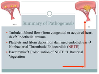Summary of Pathogenesis BE
 Turbulent blood flow (from congenital or acquired heart
dz)Endothelial trauma
 Platelets and fibrin deposit on damaged endothelium 
Nonbacterial Thrombotic Endocarditis (NBTE)
 Bacteremia Colonization of NBTE  Bacterial
Vegetation
 