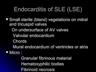 Endocarditis of SLE (LSE)Endocarditis of SLE (LSE)
 Small sterile (bland) vegetations on mitralSmall sterile (bland) vegetations on mitral
and tricuspid valvesand tricuspid valves
On undersurface of AV valvesOn undersurface of AV valves
Valvular endocardiumValvular endocardium
ChordsChords
Mural endocardium of ventricles or atriaMural endocardium of ventricles or atria
 Micro :Micro :
Granular fibrinous materialGranular fibrinous material
Hematoxyphilic bodiesHematoxyphilic bodies
Fibrinoid necrosisFibrinoid necrosis
 