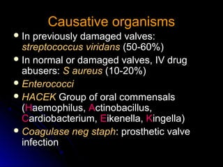 Causative organismsCausative organisms
 In previously damaged valves:In previously damaged valves:
streptococcus viridansstreptococcus viridans (50-60%)(50-60%)
 In normal or damaged valves, IV drugIn normal or damaged valves, IV drug
abusers:abusers: S aureusS aureus (10-20%)(10-20%)
 EnterococciEnterococci
 HACEKHACEK Group of oral commensalsGroup of oral commensals
((HHaemophilus,aemophilus, AActinobacillus,ctinobacillus,
CCardiobacterium,ardiobacterium, EEikenella,ikenella, KKingella)ingella)
 Coagulase neg staphCoagulase neg staph: prosthetic valve: prosthetic valve
infectioninfection
 