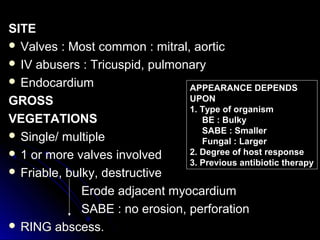 SITESITE
 Valves : Most common : mitral, aorticValves : Most common : mitral, aortic
 IV abusers : Tricuspid, pulmonaryIV abusers : Tricuspid, pulmonary
 EndocardiumEndocardium
GROSSGROSS
VEGETATIONSVEGETATIONS
 Single/ multipleSingle/ multiple
 1 or more valves involved1 or more valves involved
 Friable, bulky, destructiveFriable, bulky, destructive
Erode adjacent myocardiumErode adjacent myocardium
SABE : no erosion, perforationSABE : no erosion, perforation
 RING abscess.RING abscess.
APPEARANCE DEPENDS
UPON
1. Type of organism
BE : Bulky
SABE : Smaller
Fungal : Larger
2. Degree of host response
3. Previous antibiotic therapy
 