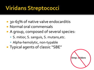  30-65% of native valve endocarditis
 Normal oral commensals
 A group, composed of several species:
 S. mitior, S. sanguis, S. mutans,etc.
 Alpha-hemolytic, non-typable
 Typical agents of classic “SBE”
Strep. viridans
 