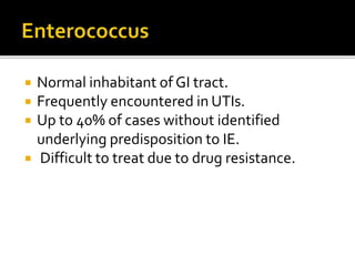 Normal inhabitant of GI tract.
 Frequently encountered in UTIs.
 Up to 40% of cases without identified
underlying predisposition to IE.
 Difficult to treat due to drug resistance.
 