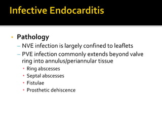 • Pathology
– NVE infection is largely confined to leaflets
– PVE infection commonly extends beyond valve
ring into annulus/periannular tissue
• Ring abscesses
• Septal abscesses
• Fistulae
• Prosthetic dehiscence
 
