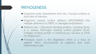 PATHOGENESIS
 Organisms enter bloodstream from skin, mucosal surfaces or
focal sites of infection.
 Organisms express surface adhesins (MSCRAMMS) that
mediate adherence to NBTE or damaged endothelium.
 Adhesins are – Fibronectin binding proteins, clumping factor
in S. aureus, Fibrinogen binding surface proteins (Fss2),
Collagen binding protein in Enterococcus, Glucans or FimA
on streptococci.
 Prototypic lesion is the Vegetation which is a mass of
platelet, fibrin, microcolonies of organism and scant
inflammatory cells.
 