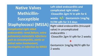 Native Valves
Methicillin-
Susceptible
Staphylococci (MSSA)
Complicated right sided
endocarditis: renal failure, extra
pulmonary metastatic infections
such as osteomyelitis, aortic or
mitral valve involvement,
meningitis, or infection by MRSA
Left sided endocarditis and
complicated right sided :
Cloxacillin 2gm IV in q4h for 6
weeks +/- Gentamicin 1mg/kg
IV/IM q8h for 3-5 days
Right sided endocarditis (tricuspid
valve) in uncomplicated
endocarditis :
Cloxacillin 2gm IV q4h for 2 weeks
+
Gentamicin 1mg/kg IM/IV q8h for
2 weeks
 
