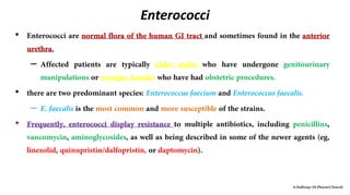 Enterococci
•
–
•
–
•
 