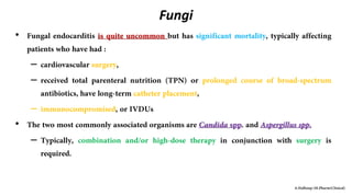 Fungi
•
–
–
–
•
–
 