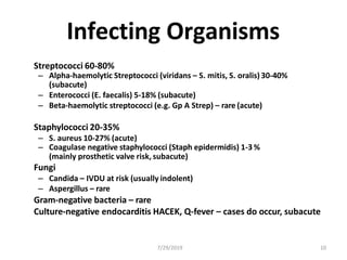 Infecting Organisms
Streptococci 60-80%
– Alpha-haemolytic Streptococci (viridans – S. mitis, S. oralis) 30-40%
(subacute)
– Enterococci (E. faecalis) 5-18% (subacute)
– Beta-haemolytic streptococci (e.g. Gp A Strep) – rare (acute)
Staphylococci 20-35%
– S. aureus 10-27% (acute)
– Coagulase negative staphylococci (Staph epidermidis) 1-3 %
(mainly prosthetic valve risk, subacute)
Fungi
– Candida – IVDU at risk (usually indolent)
– Aspergillus – rare
Gram-negative bacteria – rare
Culture-negative endocarditis HACEK, Q-fever – cases do occur, subacute
7/29/2019 10
 