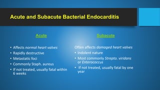 Acute and Subacute Bacterial Endocarditis
Acute
• Affects normal heart valves
• Rapidly destructive
• Metastatic foci
• Co...