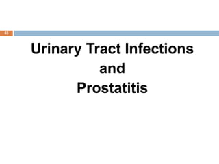 43
Urinary Tract Infections
and
Prostatitis
 