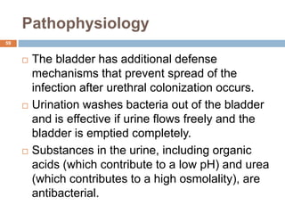 Pathophysiology
59
 The bladder has additional defense
mechanisms that prevent spread of the
infection after urethral colonization occurs.
 Urination washes bacteria out of the bladder
and is effective if urine flows freely and the
bladder is emptied completely.
 Substances in the urine, including organic
acids (which contribute to a low pH) and urea
(which contributes to a high osmolality), are
antibacterial.
 