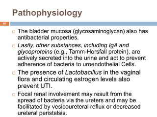 Pathophysiology
60
 The bladder mucosa (glycosaminoglycan) also has
antibacterial properties.
 Lastly, other substances, including IgA and
glycoproteins (e.g., Tamm-Horsfall protein), are
actively secreted into the urine and act to prevent
adherence of bacteria to uroendothelial Cells.
 The presence of Lactobacillus in the vaginal
flora and circulating estrogen levels also
prevent UTI.
 Focal renal involvement may result from the
spread of bacteria via the ureters and may be
facilitated by vesicoureteral reflux or decreased
ureteral peristalsis.
 