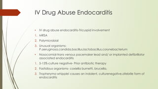 IV Drug Abuse Endocarditis
• IV drug abuse endocarditis-Tricuspid involvement
1. MRSA
2. Polymicrobial
3. Unusual organisms-
P.aeruginosa,candida,bacillus,lactobacillus,corynebacterium
• Nosocomial-trans venous pacemaker lead and/ or implanted defibrillator
associated endocarditis
1. 5-15%-culture negative- Prior antibiotic therapy
2. Fastidious organisms- coxiella burnetti, brucella,
3. Tropheryma whipplei causes an indolent, culturenegative,afebrile form of
endocarditis
 