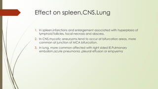 Effect on spleen,CNS,Lung
1. In spleen,infarctions and enlargement associated with hyperplasia of
lymphoid follicles, focal necrosis and abscess.
2. In CNS,mycotic aneurysms.tend to occur at bifurcation areas, more
common at junction of MCA bifurcation.
3. In lung, more common affected with right sided IE.Pulmonary
embolism,acute pneumonia ,pleural effusion or empyema
 