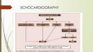 ECHOCARDIOGRAPHY
 