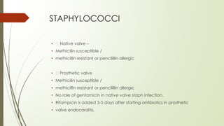 STAPHYLOCOCCI
• Native valve –
• Methicilin susceptible /
• methicillin resistant or pencilillin allergic
• Prosthetic valve
• Methicilin susceptible /
• methicillin resistant or pencilillin allergic
• No role of gentamicin in native valve staph infection.
• Rifampicin is added 3-5 days after starting antibiotics in prosthetic
• valve endocarditis.
 