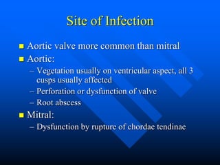 Site of Infection
 Aortic valve more common than mitral
 Aortic:
– Vegetation usually on ventricular aspect, all 3
cusps usually affected
– Perforation or dysfunction of valve
– Root abscess
 Mitral:
– Dysfunction by rupture of chordae tendinae
 