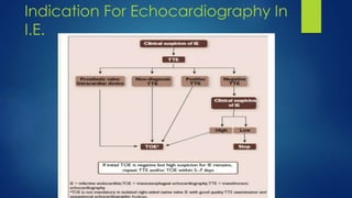 Indication For Echocardiography In
I.E.
 